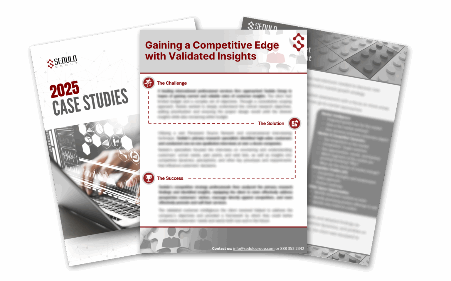 Sedulo Group | Market Landscape & Segmentation