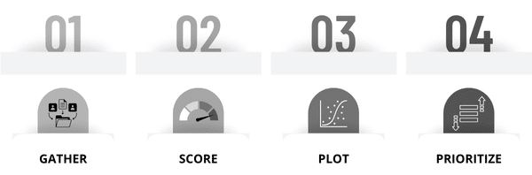 Priority and Impact Matrix Process